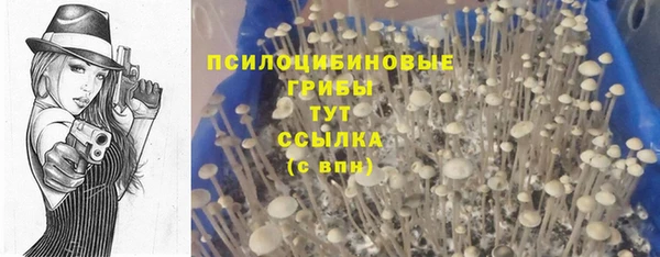 меф Переславль-Залесский