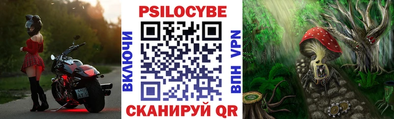 где купить наркоту  Котельниково  Псилоцибиновые грибы Psilocybine cubensis 